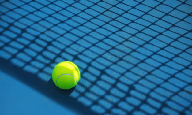 ATP-Turniere beendet: Basilashvili siegt in Doha, Medvedev in Marseille